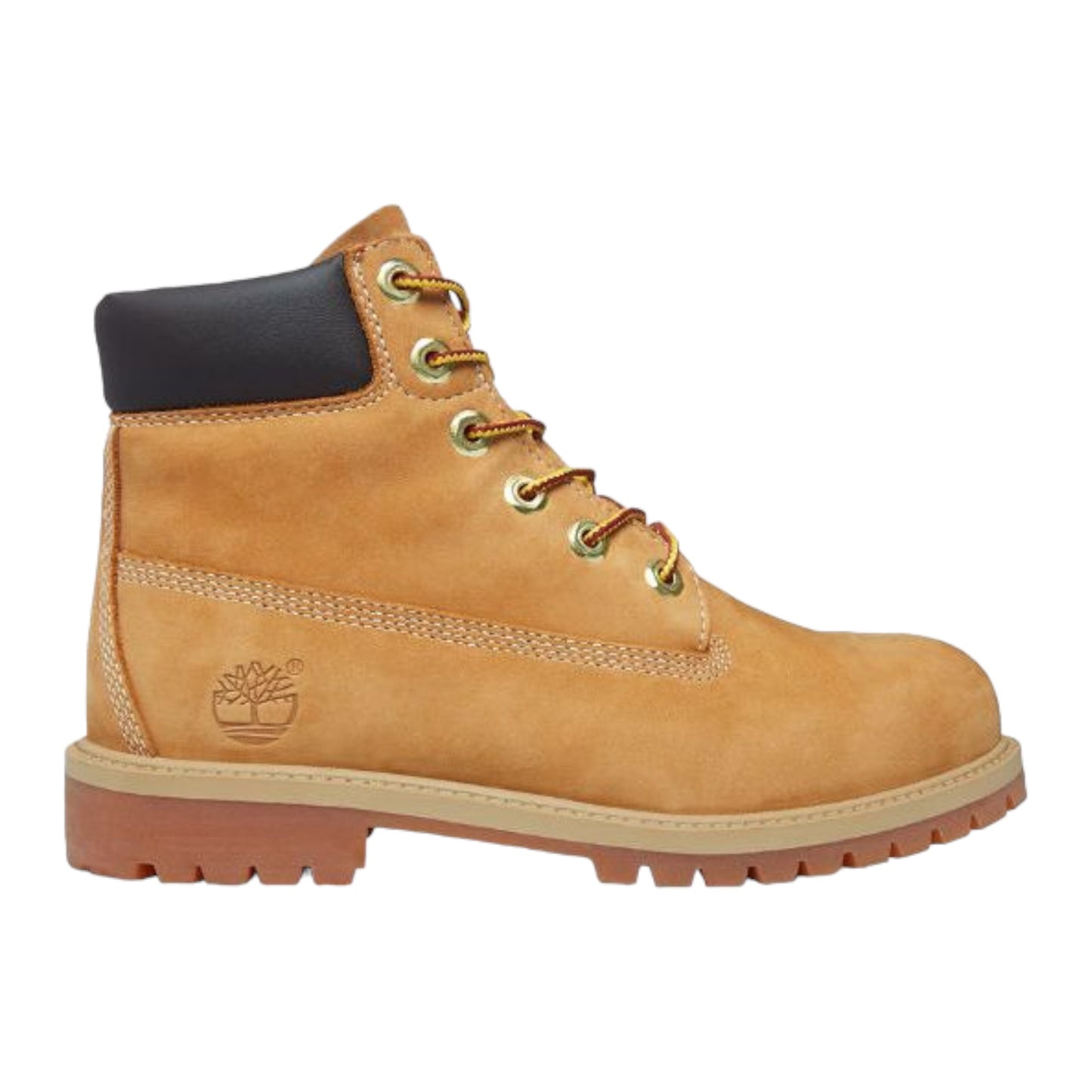 Timberland Junior 6in Boot Wheat Nubuck- (12909) - HX - R2L14