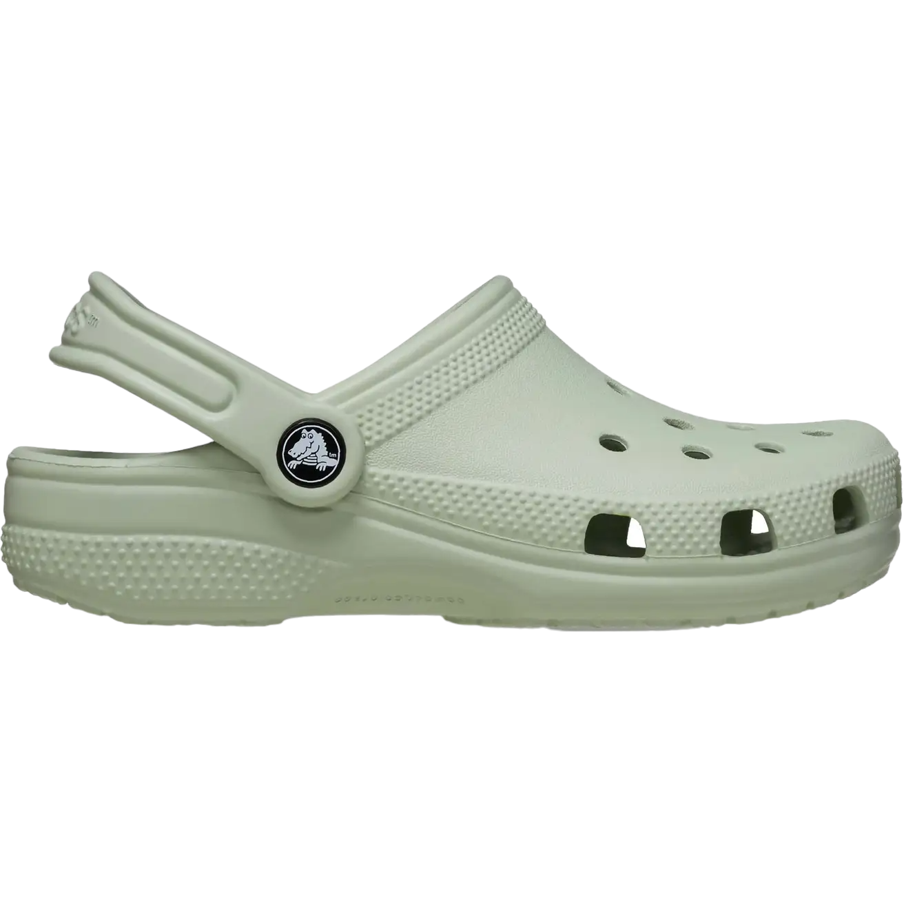 - Classic Crocs YOUTH PLASTER Colour (light green) (206991-3VS) - Back