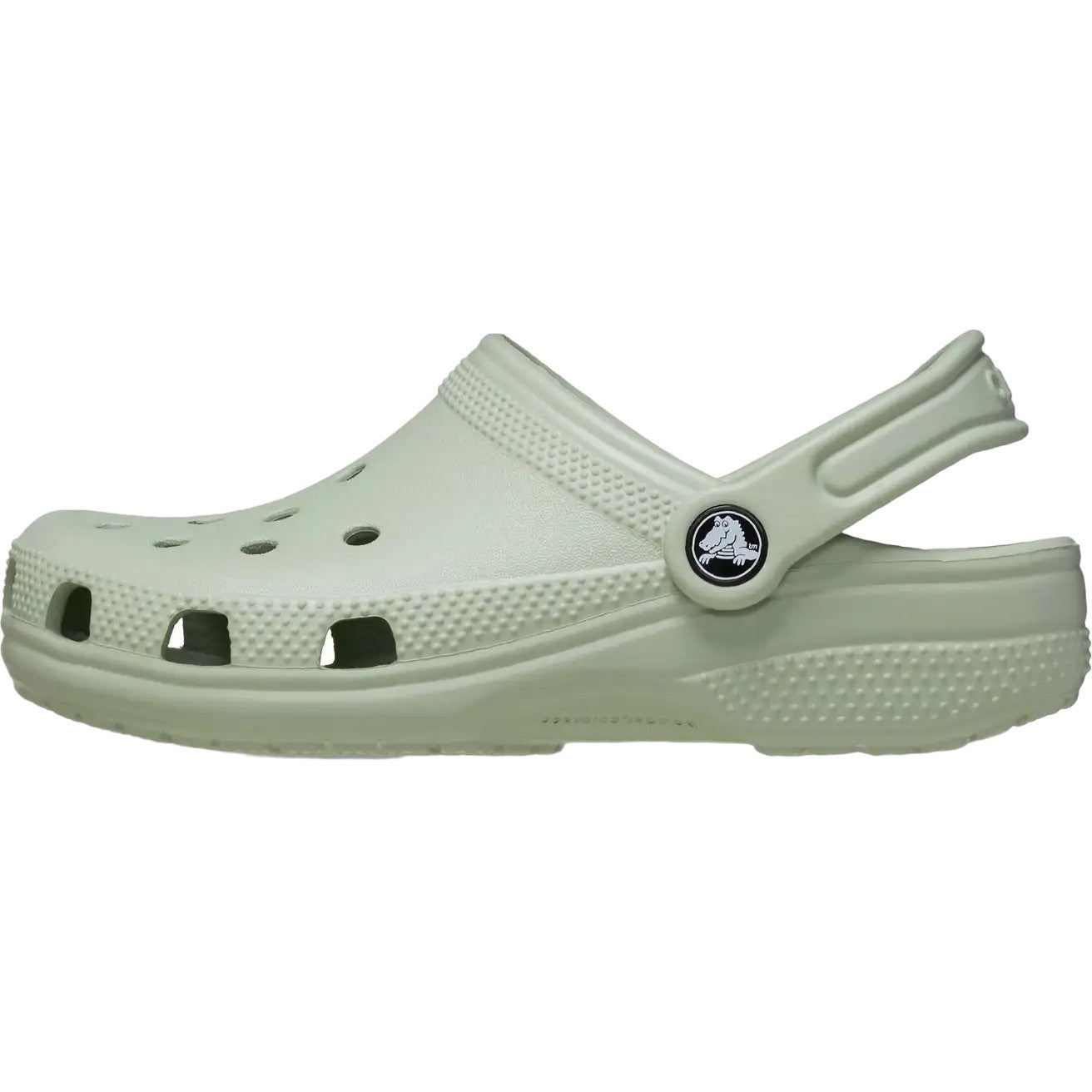 - Classic Crocs TODDLER Plaster Colour light green (206990-3VS) - F - C26